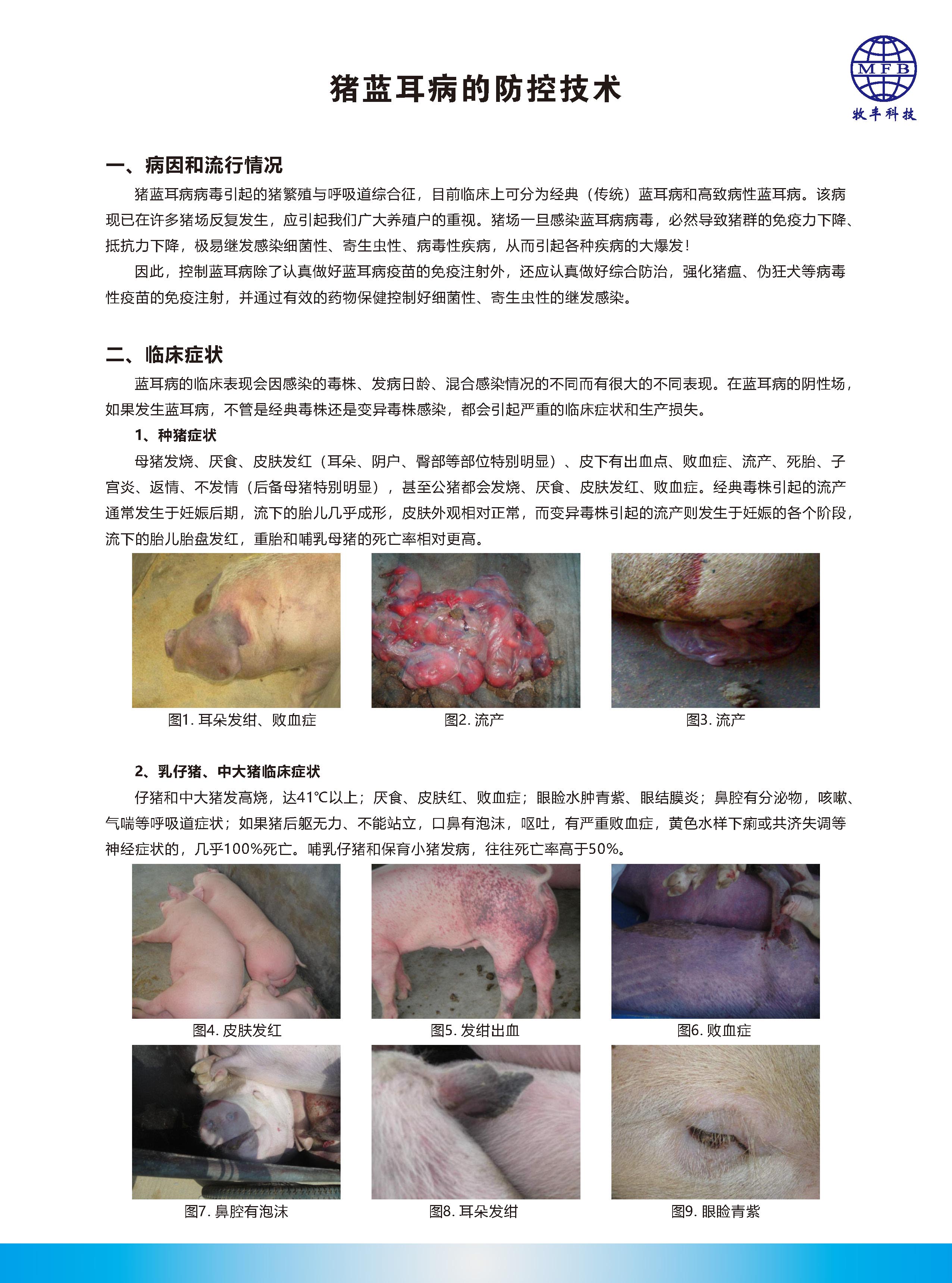 豬藍耳病的防控技術_頁麵_1.jpg